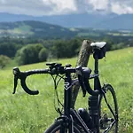 Tournesol