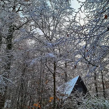 Chalet Tournesol