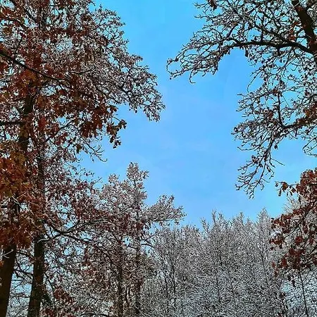 Tournesol Chalet Durbuy