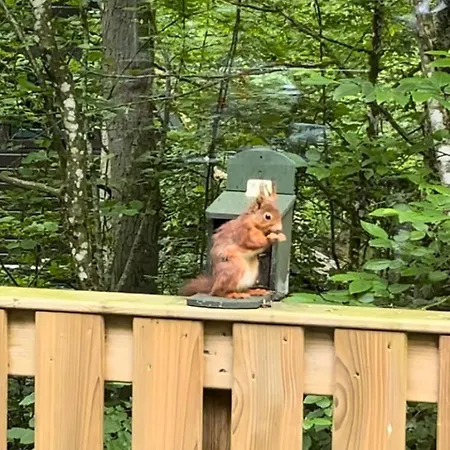 Domek alpejski Tournesol Durbuy