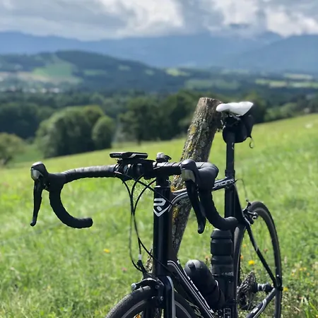 Tournesol